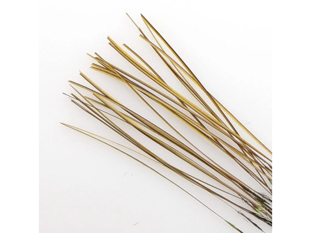 Hand Stripped Quill image 0