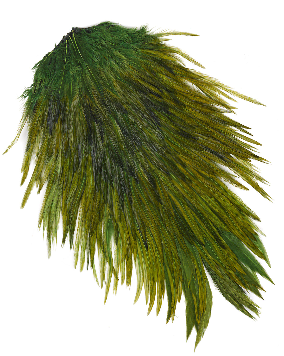 Rooster Saddle