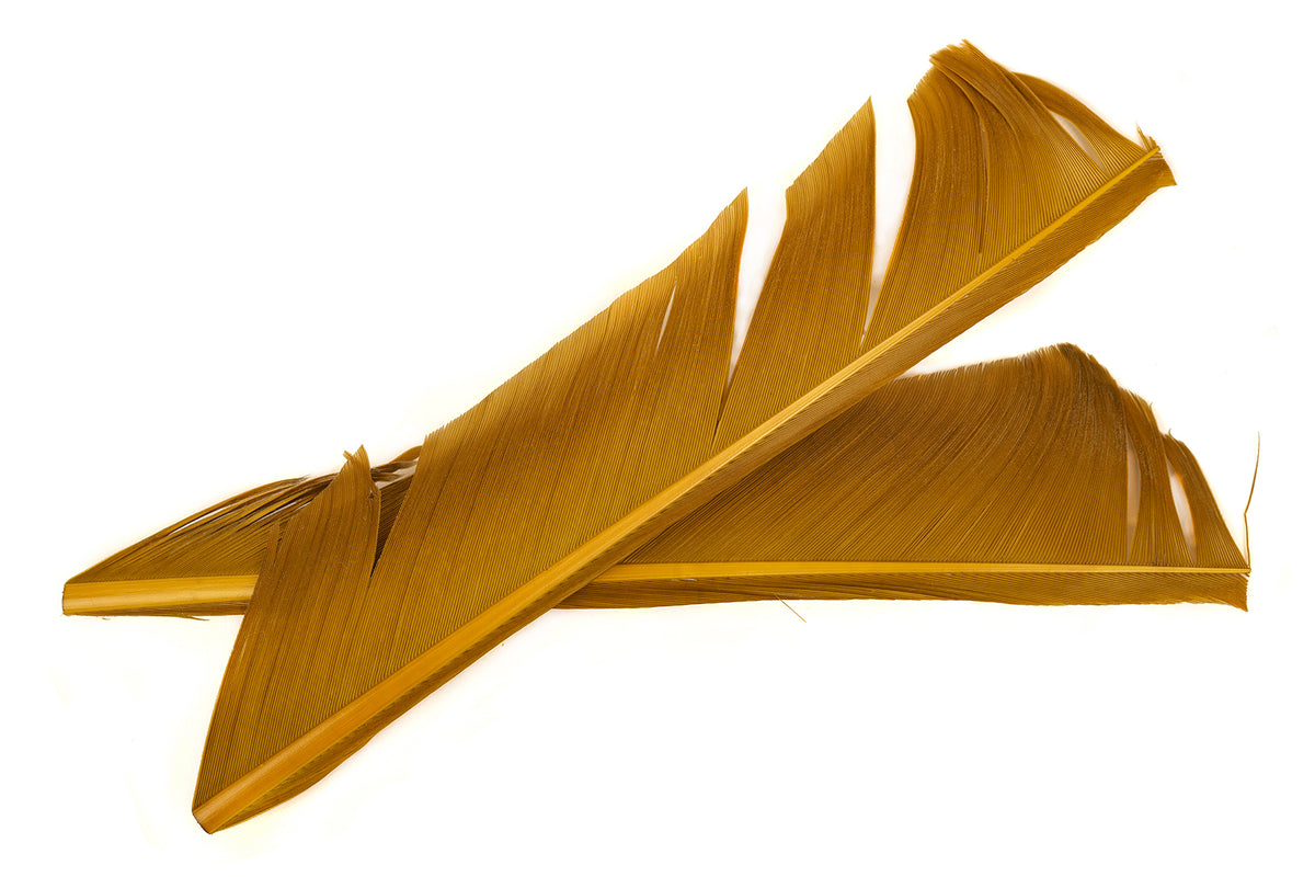 Nature`Spirit Turkey biot Quills - Blue Wing Olive