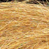 Angel Hair - Holographic Gold - 22