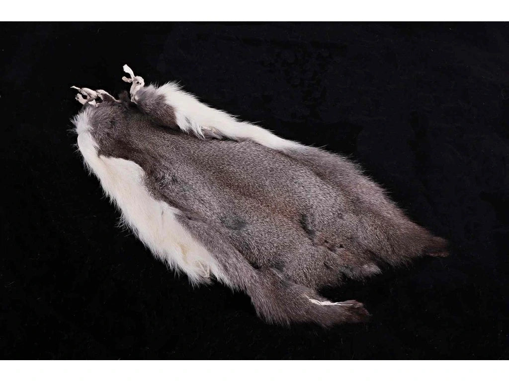 Hends Squirrel Skin image 1