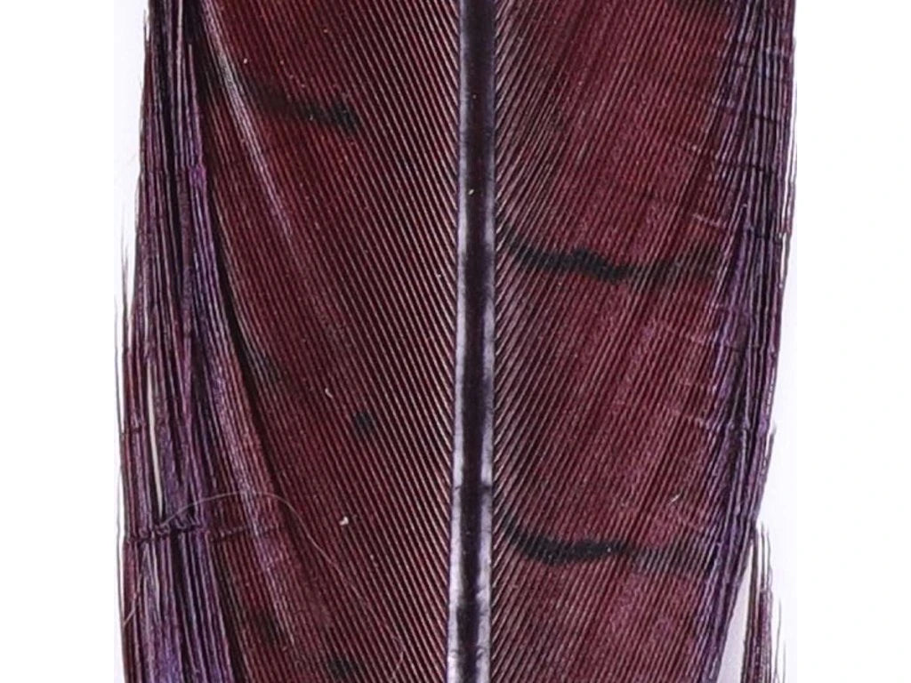 Hends Pheasant Tail image 5