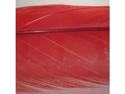 Hends Pheasant Tail image 11