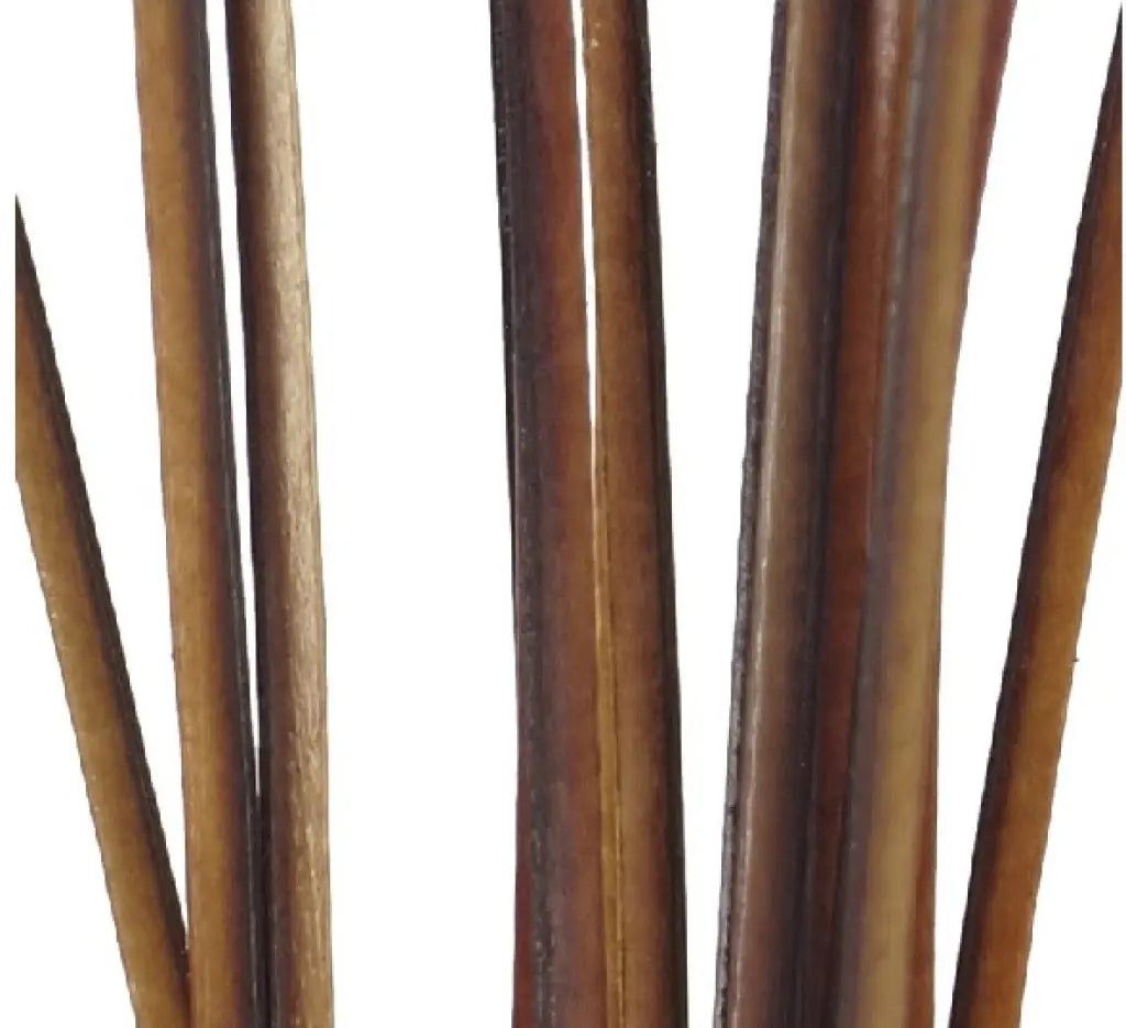 Hand Stripped Quill image 2