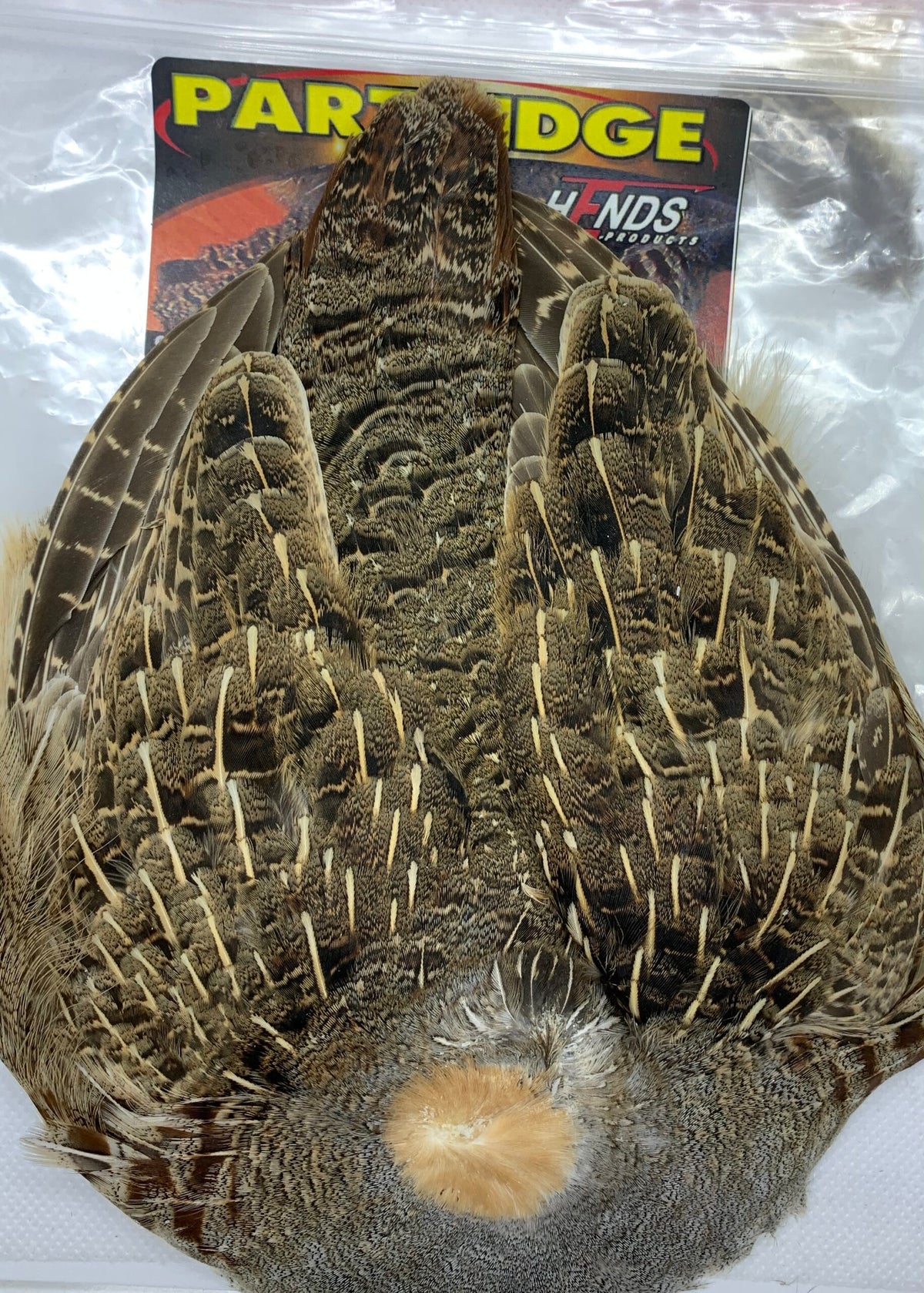 Partridge compl. Skin image 2