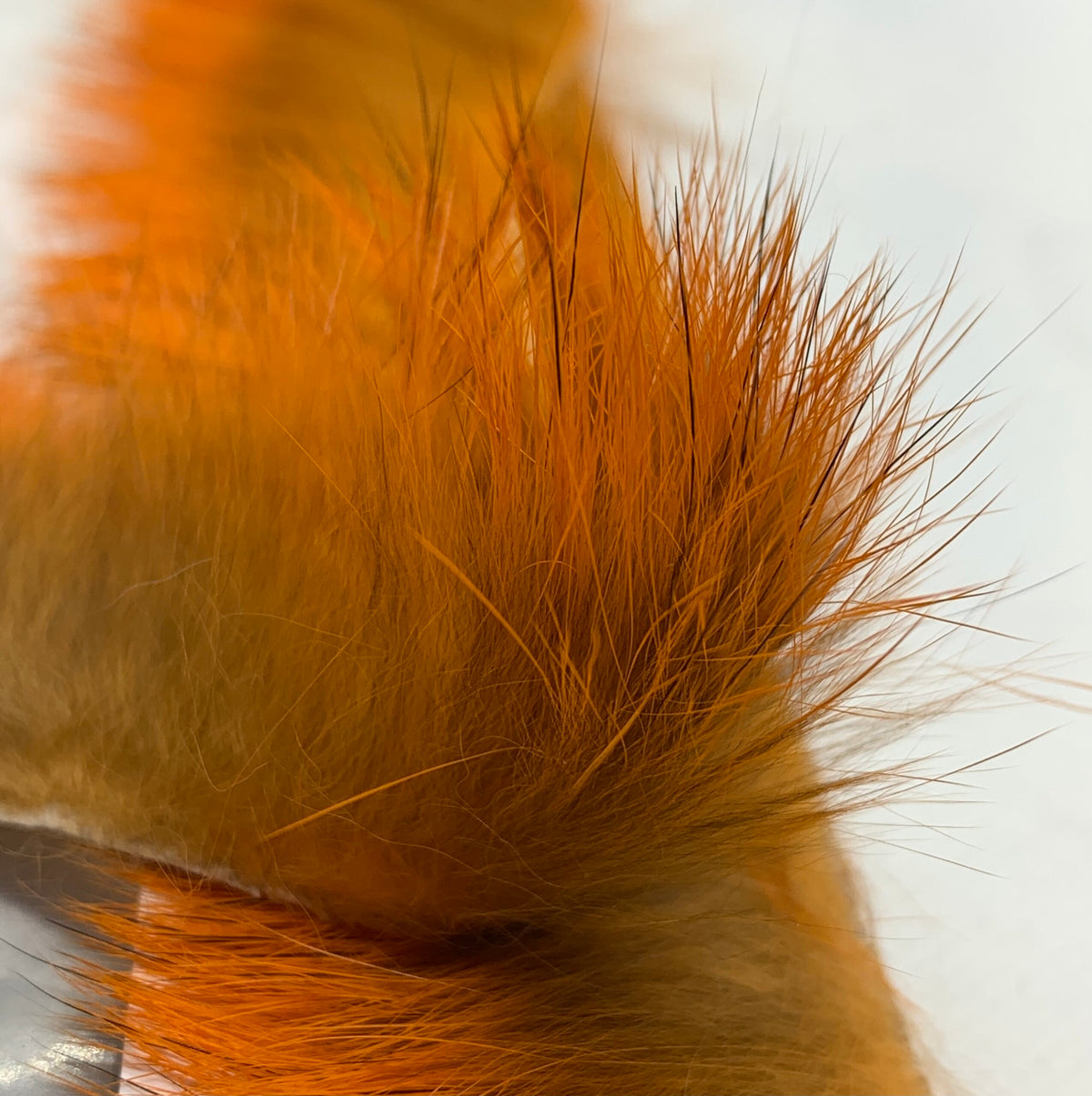 Furry Band image 2