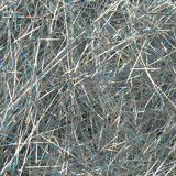 Holographic Dubbing - Silver - 2