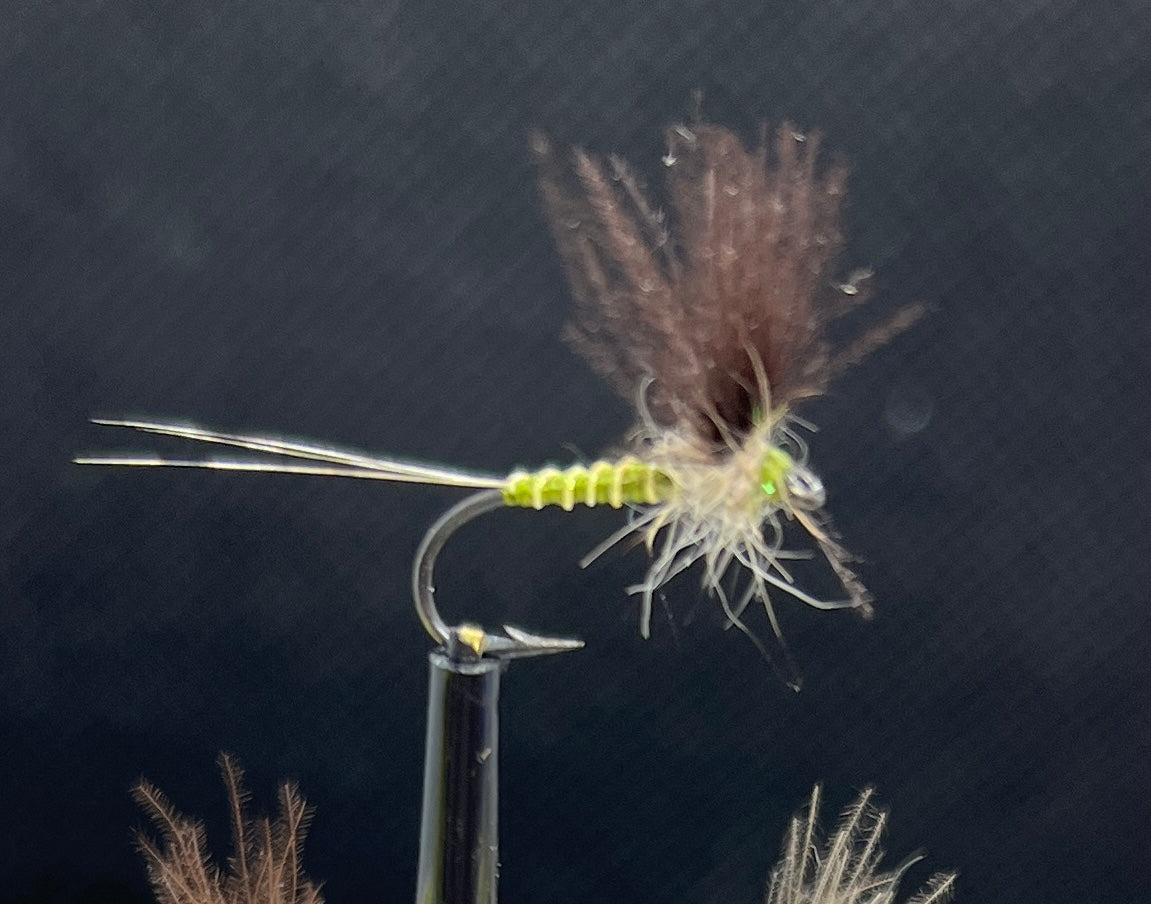 Døgnflue variant