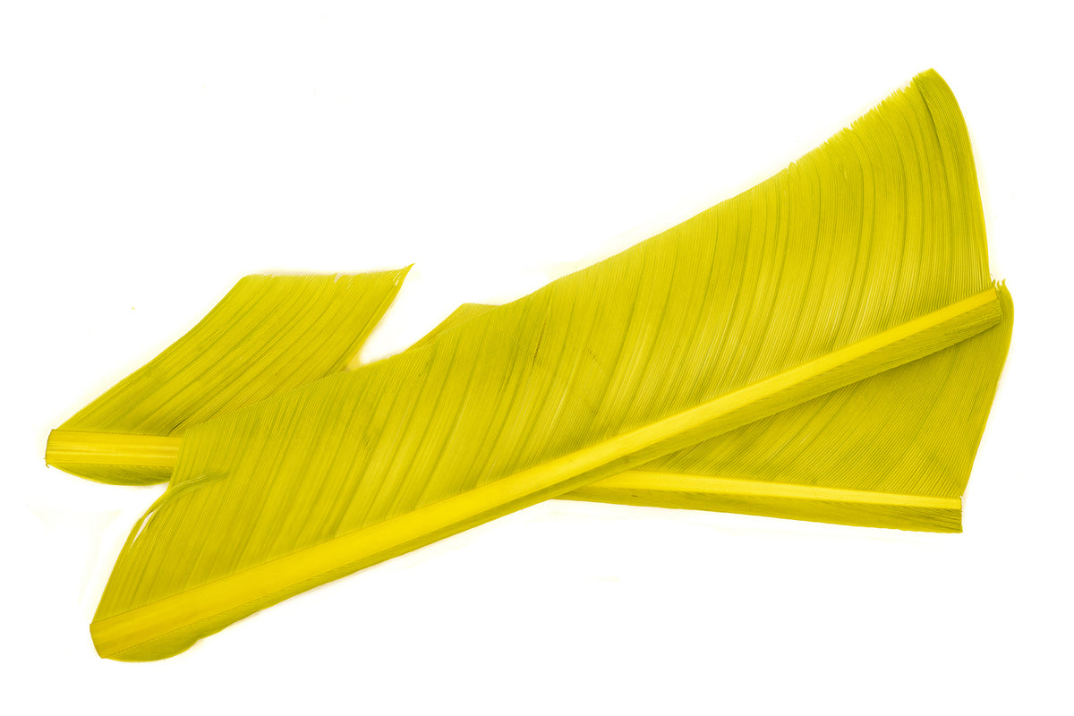 Nature`Spirit Turkey biot Quills - Light Olive