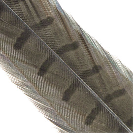 Hends Pheasant Tail image 3