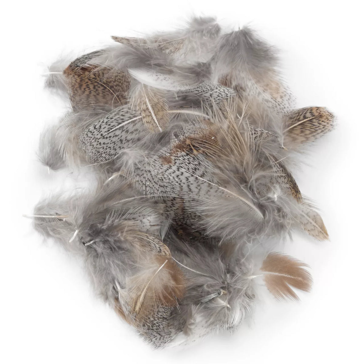 Engelske Partridge-fjær image 0
