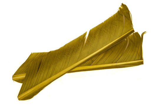 Nature`Spirit Turkey biot Quills image 0