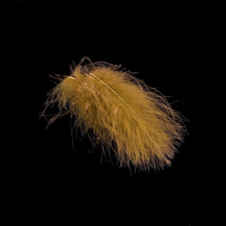 Hends CDC 1 gram image 8