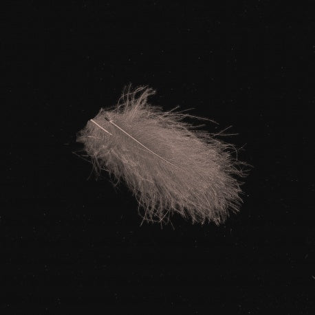 Hends CDC 1 gram image 10
