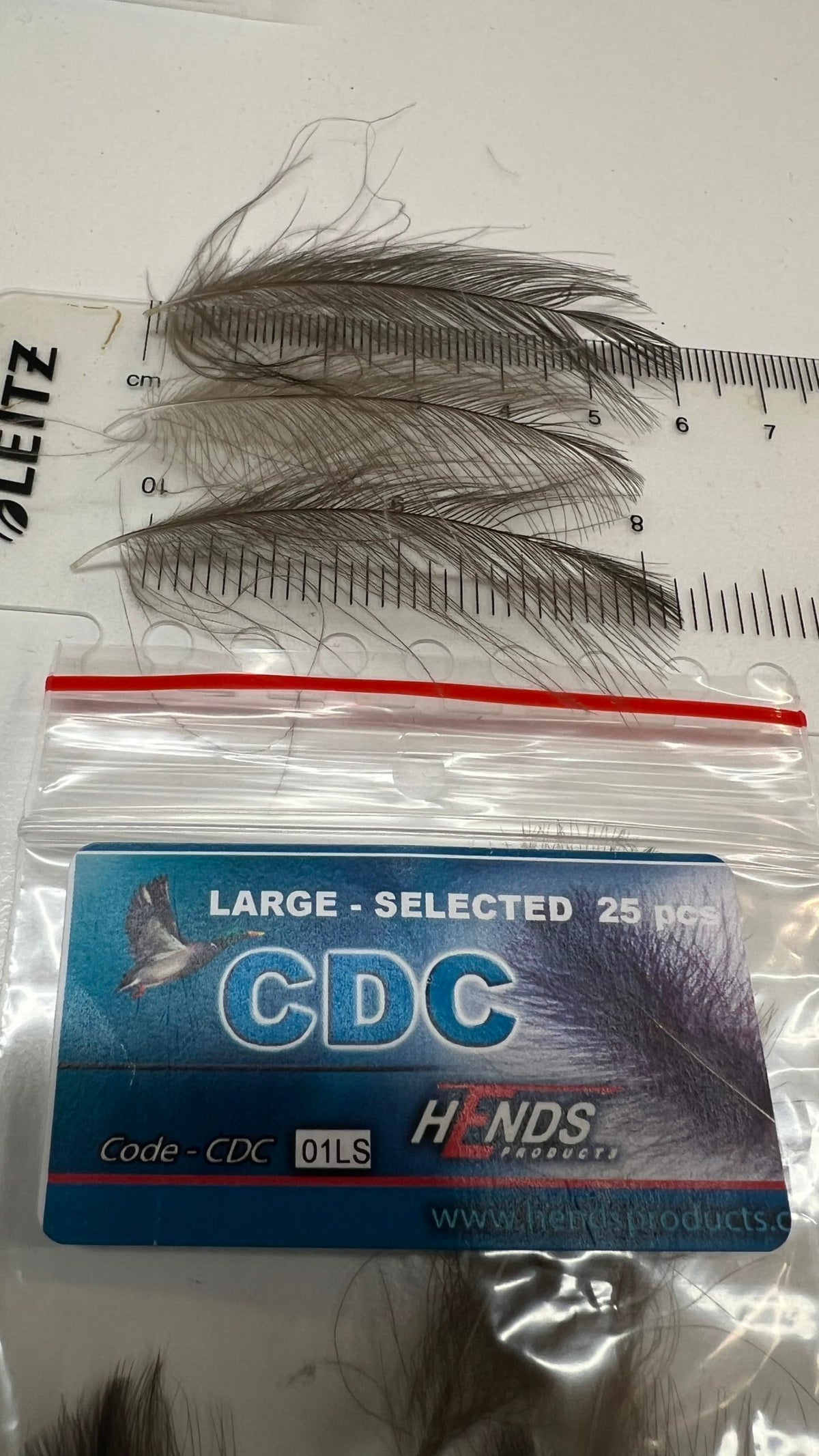 Hends Large CDC image 2