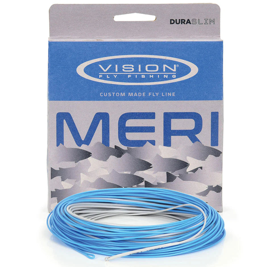 Vision Meri image 4