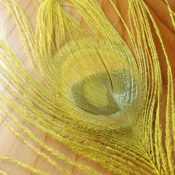 Peacock eyes natural coloured - Natural - yellow coloured - 06