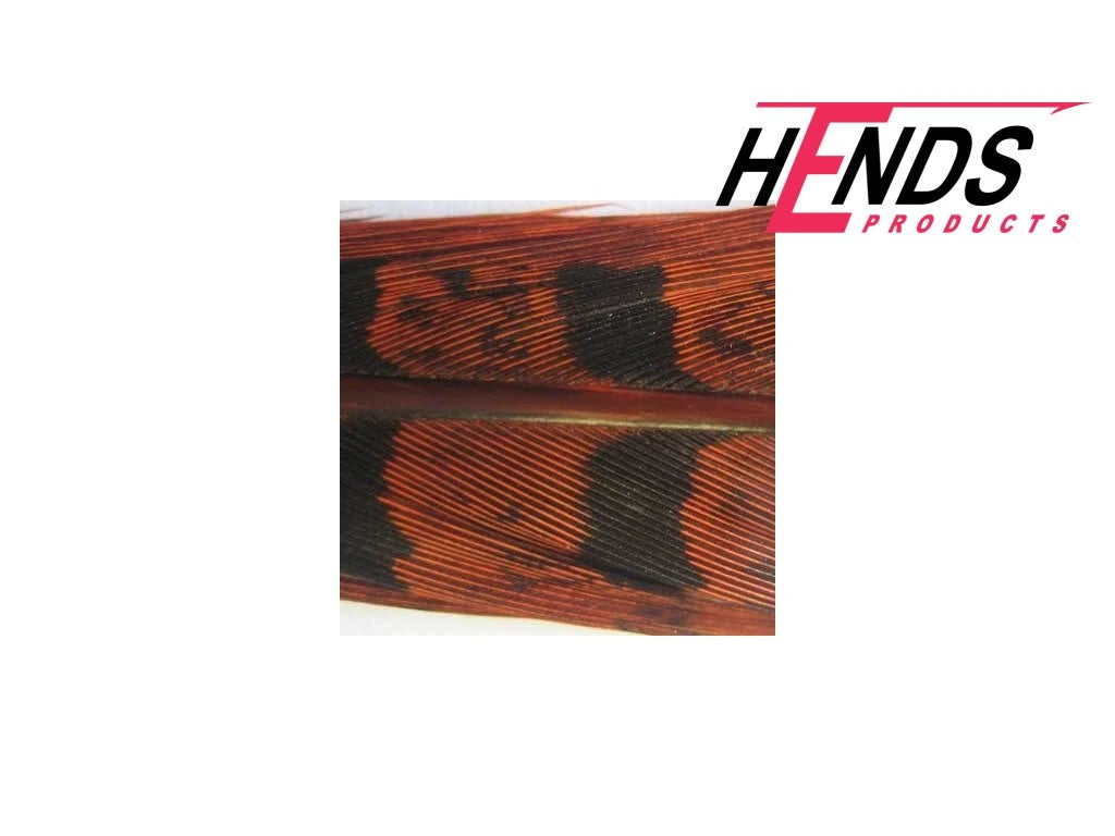 Hends Pheasant Tail image 10
