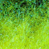 Hends Micro Flash image 10