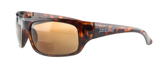 Focal 2,5 polarisert solbrille